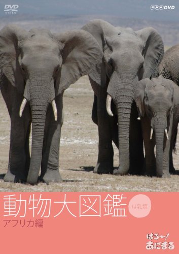 【中古】(非常に良い)はろ!~あにまる 動物大図鑑 1 アフリカ編 [DVD]