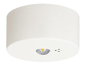 【中古】(非常に良い)パナソニック(Panasonic) 天井直付型 LED 昼白色 非常用照明器具 30分間タイプ LED 高天井用 ～10m 自己点検スイッチ付 リモコン自己点検機能付