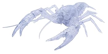 【中古】フジミ模型 自由研究シリーズ No.24 EX-3 いきもの編 アメリカザリガニ（透明）自由研究24EX-3