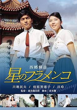 【中古】(非常に良い)星のフラメンコ [DVD]