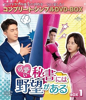 【中古】可愛い秘書には野望がある BOX1 (コンプリート・シンプルDVD‐BOXシリーズ)(期間限定生産)