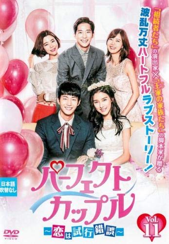 【中古】(非常に良い)パーフェクトカップル 恋は試行錯誤 11(第21話、第22話) [レンタル落ち]