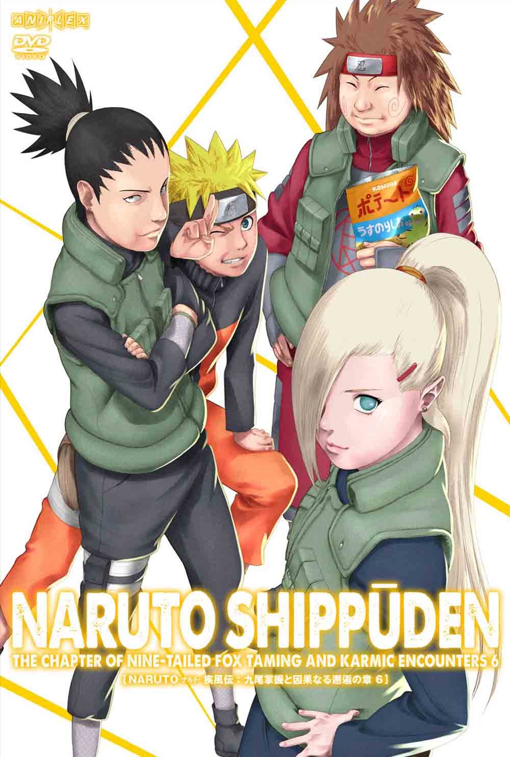 【中古】NARUTO-ナルト- 疾風伝 九尾掌握と因果なる邂逅の章 6 [DVD]