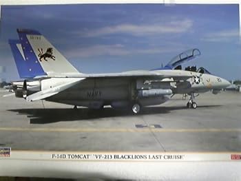 【中古】(未使用品)ハセガワ　1／48スケール　F-14D　トムキャット　VF-213　ブラックライオンズ　ラストクルーズ