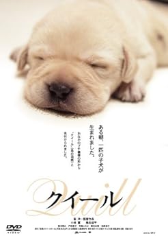 【中古】(未使用品)クイール [DVD]
