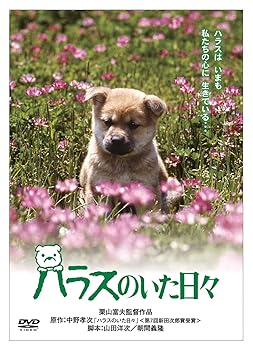 【中古】(未使用品)「きな子~見習い警察犬の物語~」DVD発売記念 犬だワンダフルキャンペーン ハラスのいた日々 (限定生産) 4,758円