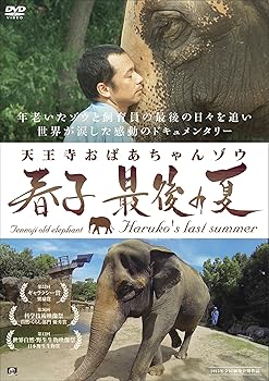 【中古】(非常に良い)天王寺おばあちゃんゾウ 春子 最後の夏 [DVD]