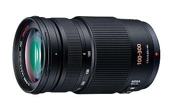 【中古】(未当てはめる品)パナソニック 望遠望遠レンズ マイクロフォーサーズ用 ルミックス G VARIO 100-300粍／F4.0-5.6 ／MEGA O.I.S. H-FS100300
