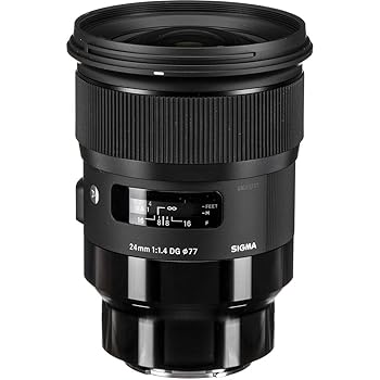 【中古】(人並み外れたに好いたらしい)SIGMA 単興味の中心広角水晶体 24粍 F1.4 DG HSM | Art A015 SONY-Eマウント用 鏡鑑受け答え(フルサイズ)専用