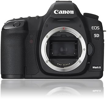 【中古】(未当てはめる品)【確保済み品】 Canon デジタル一眼一眼レフ写真機 EOS 5D MarkII 上半身 (確保済み品)