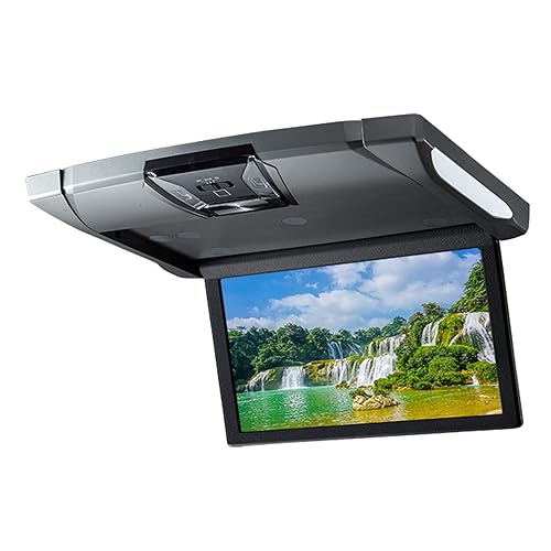 【中古】アルパイン(ALPINE) 10.1インチ フリップダウンモニター ルームライト有り シルバー RSH10XS-R-S|COCOHOUSE