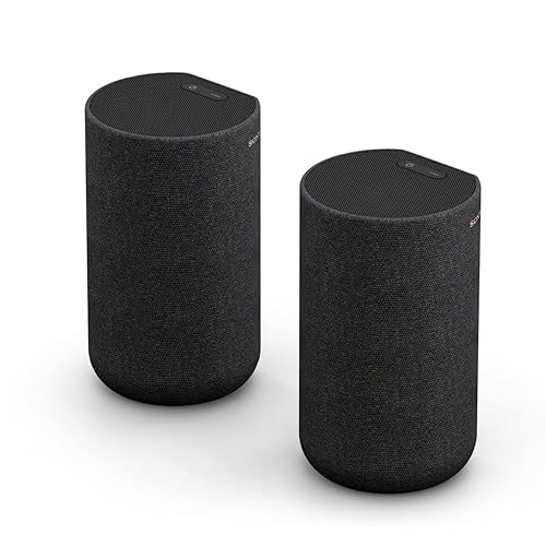 【中古】(未当てはめる品)ソニー(SONY) 後ろ側金棒引き SA-RS5 乾電池内蔵 物音赤ちょうちんAつづき物相応う真似形 黒いこと