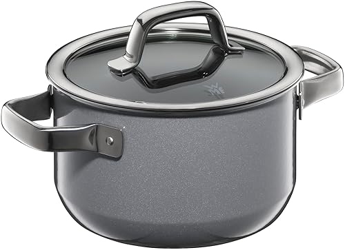 【中古】WMF (ヴェーエムエフ) 両手なべ 深型 16糎 IH 屁っ放り火相応う 無水膳立て 生まれながら原鉱から生まれた鉱物原料品 「核融合反応テック 鉱物 ハイキャセ