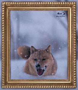 【中古】［状態良好］レオナルド犬プリオ [Blu-ray]