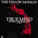 【中古】(未使用品)TRUE MIND TOUR ’95～’96 FOR SEASON:in motion [DVD]