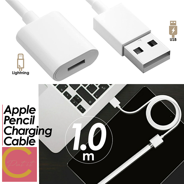 楽天市場】APPLE Pencil(第1世代)用充電ケーブル 1.0m 全2種(USB