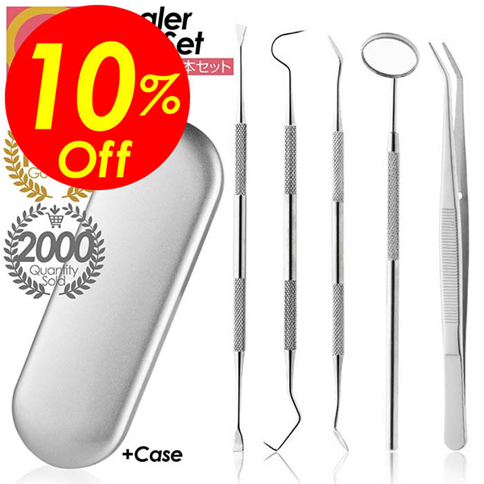 楽天市場】デンタルケア デンタルツールセット 5点セット ステンレス製