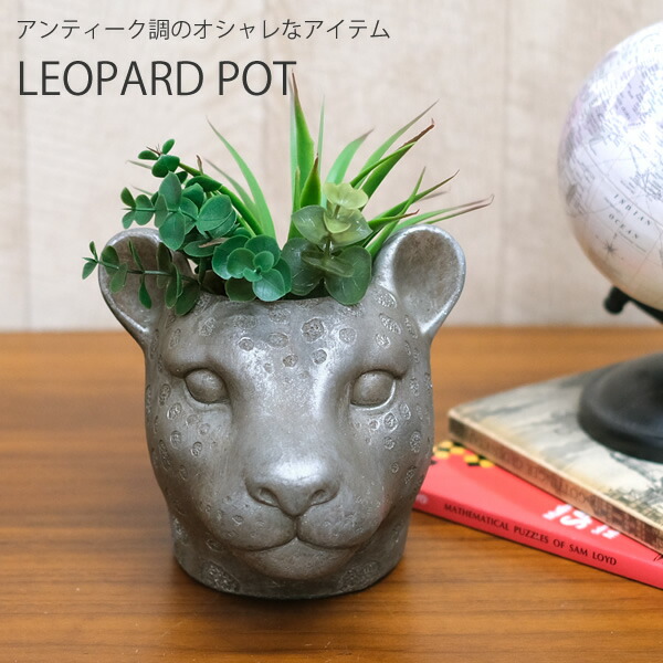 楽天市場】【新商品】CN23 シャンタルレオパードS ヒョウ 豹 アニマル