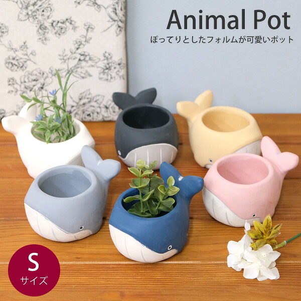 楽天市場】【新商品】CN30 クジラポット25S くじら 鉢 植木鉢 鉢カバー