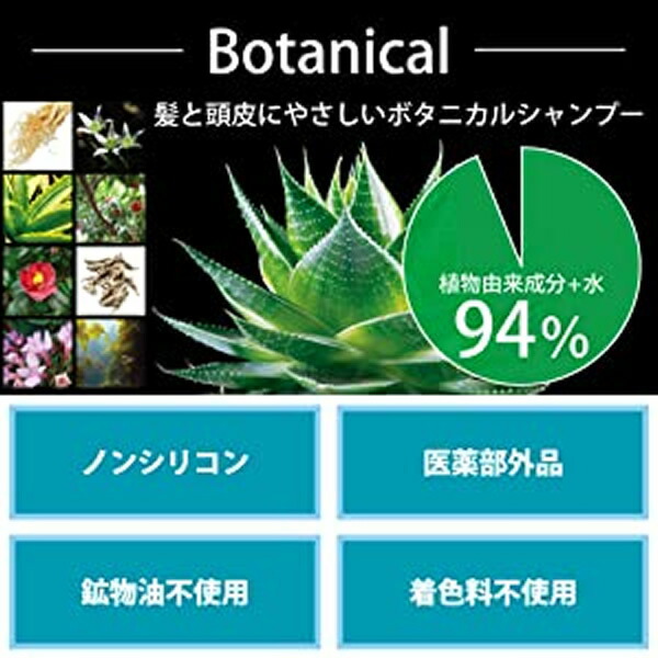 正規店仕入れの お得2本セット ディノメン DiNOMEN 薬用スカルプケア リンスインシャンプー 500ml qdtek.vn