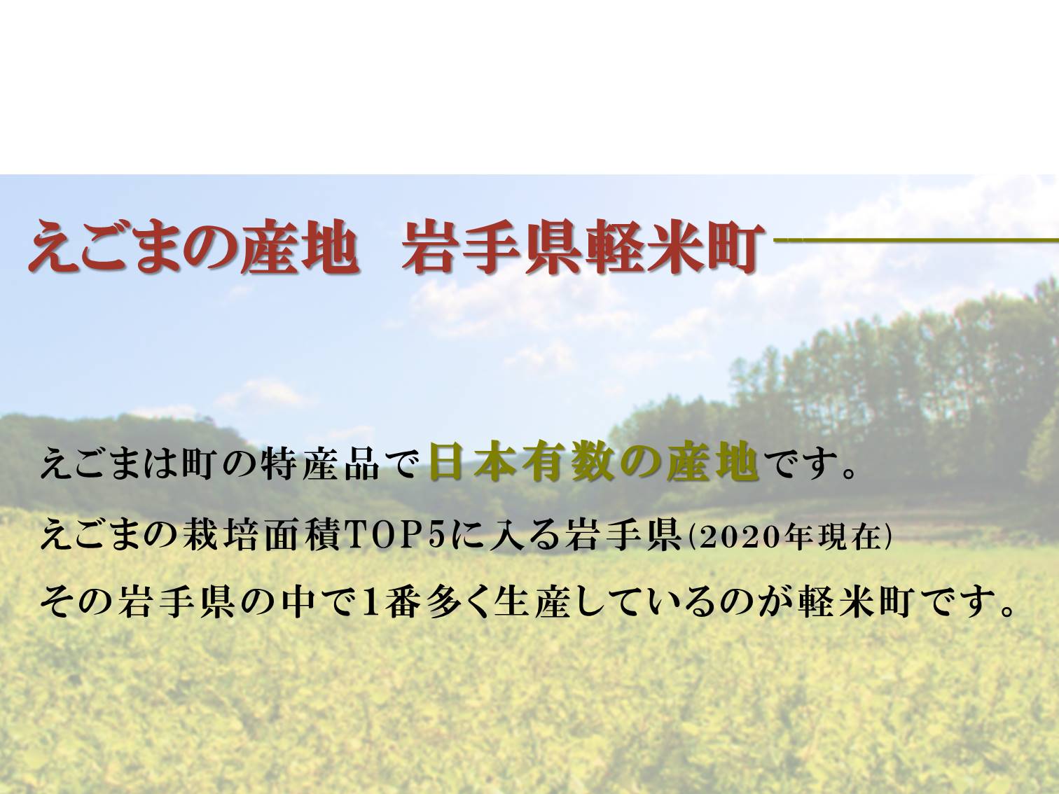 とろ〜りえごまドレッシング 150ml えごま ごま しゃぶしゃぶ エゴマ エゴマドレッシング サラダ ドレッシング 古今東北 国産 岩手  岩手県軽米町産えごま使用 東北応援 肉 荏胡麻 荏胡麻ドレッシング 軽米町 野菜 【史上最も激安】 岩手県軽米町産えごま使用