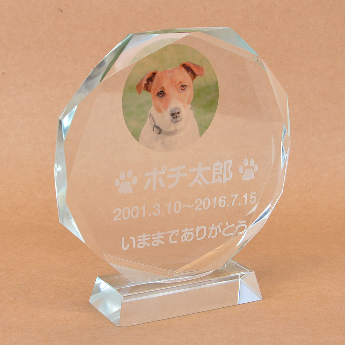 Pet&Love. ペットのお墓 ガラス製 お客様のペット写真刻印 オーダーメイド メッセージ変更可能 タイプ1　LLLサイズ　高さ22cm　カラーワンポイント 【HLS_DU】【RCP】【楽ギフ_包装】【楽ギフ_名入れ】 attr56attr ctgr2ctgr sml3sml+ctgr2ctgr noanml｜デザイン雑貨COCONUT