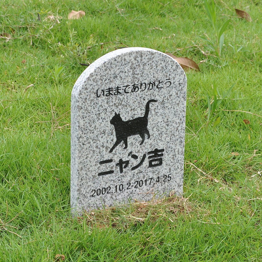 Pet&Love. ペットのお墓 天然石製 埋めるタイプ 御影石　グレー 180x300x20mm 【HLS_DU】【RCP】【楽ギフ_包装】【楽ギフ_名入れ】 attr132attr ctgr2ctgr sml3sml+ctgr2ctgr CAT