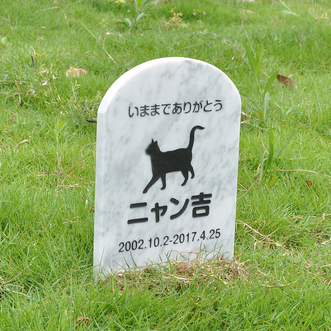 値引 楽天市場 Pet Love ペットのお墓 天然石製 埋めるタイプ 御影石 グレースリット 180x300xmm Hls Du Rcp 楽ギフ 包装 楽ギフ 名入れ Attr132attr Ctgr2ctgr Sml3sml Ctgr2ctgr Cat デザイン雑貨coconut 代引き手数料無料 Lexusoman Com