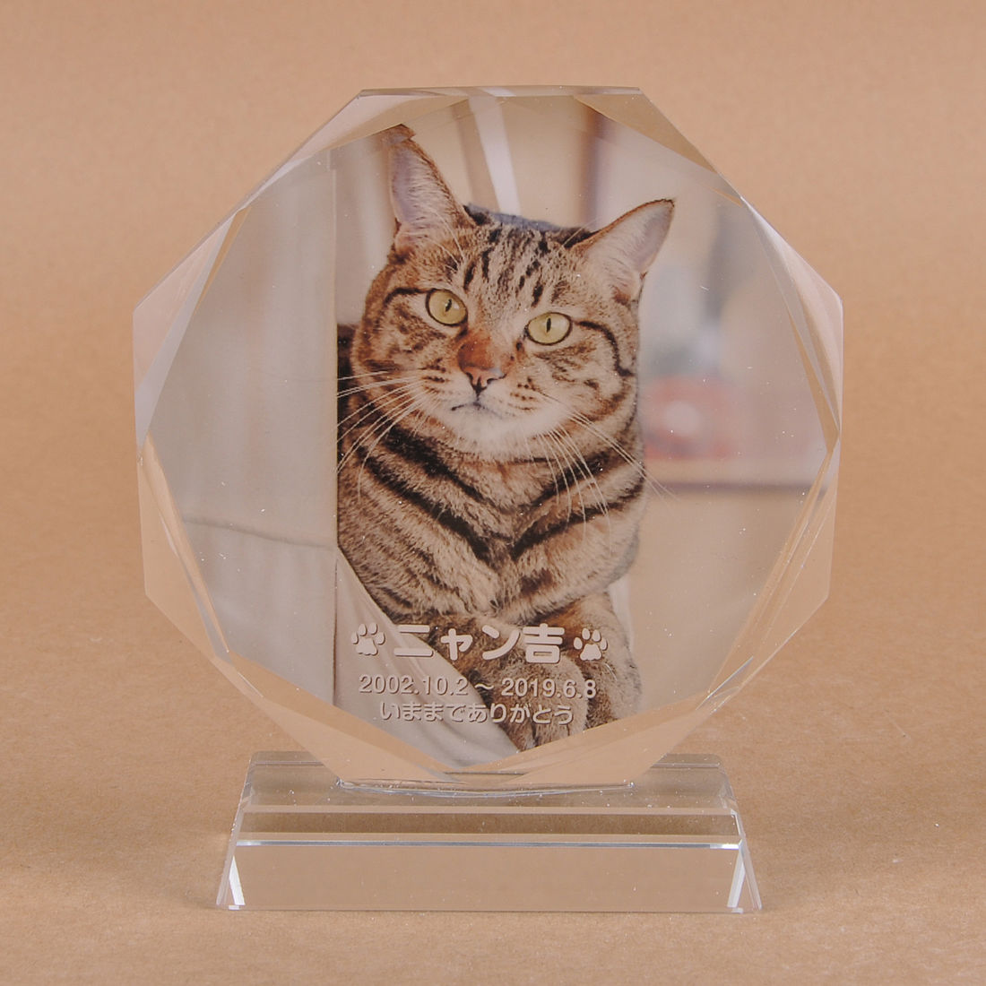 PetLove. ペットのお墓 ガラス製 お客様のペット写真刻印 オーダーメイド メッセージ変更可能 円形タイプ 猫モデル Mサイズ 高さ14cm 全体カラー attr56attr ctgr2ctgr sml3sml ctgr2ctgr noanml