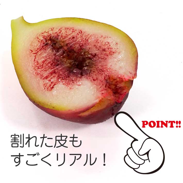 楽天市場 食品サンプル いちじく 半割れ リアルサイズ ディスプレイ イチジク 無花果 フルーツ リアル食品サンプル ココナッツ