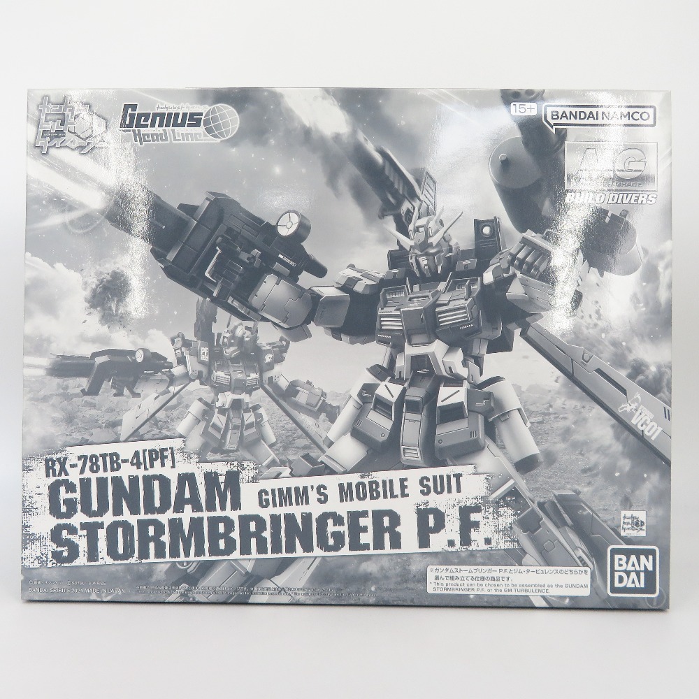 1/100 MG ガンダムストームブリンガー P.F. 「ガンダムビルドダイバーズ GIMM＆BALL’s World Challenge」 プレミアムバンダイ限定 [5066915] BANDAI SPIRITS バンダイスピリッツ プラモデル【中古】