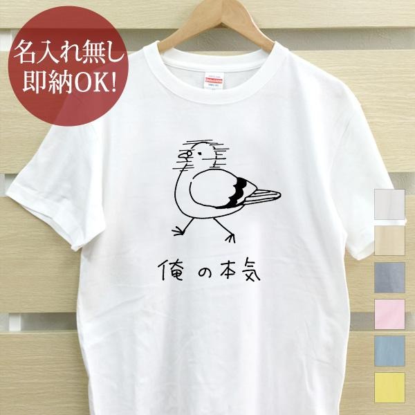 楽天市場】【即納 名入れ無し】 大人用 Tシャツ 誕生日