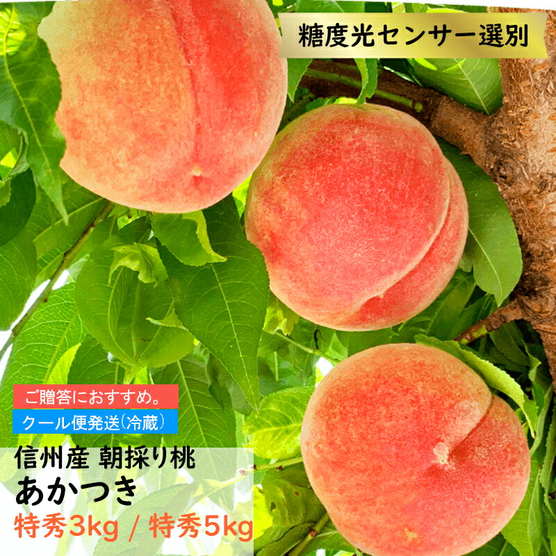 【予約】桃 あかつき 特秀 約3キロ 5キロ 贈答【7月下旬より順次発送】長野県産 信州産 果物 フルーツ もも 信州 長野県 朝どり 産地直送 お中元 ギフト  お取り寄せ 送料無料 ※クール便