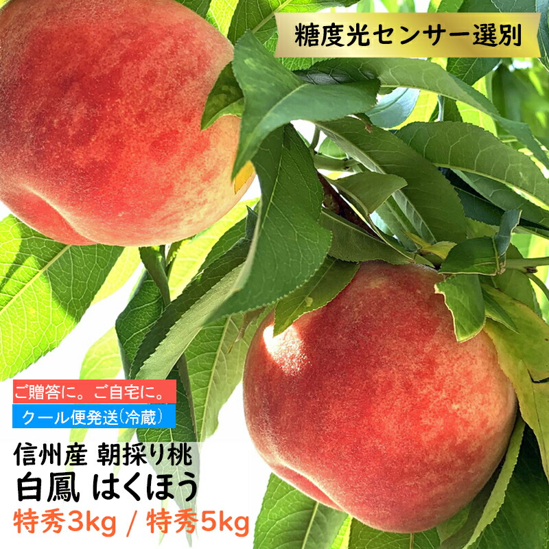 【予約】 桃 白鳳 はくほう 特秀 約3kg 約5kg 贈答【7月中旬順次発送】長野県産 信州産 果物 フルーツ もも 信州 長野県 朝どり 即日出荷 産地直送 お中元 ギフト お取り寄せ 送料無料 ※クール便
