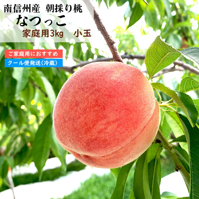 【専用】信州産☆朝どり桃☆なつっこ3.5kg 楽天市場】桃 なつっこ 3kg 【予約注文8月頃から発送】送料無料