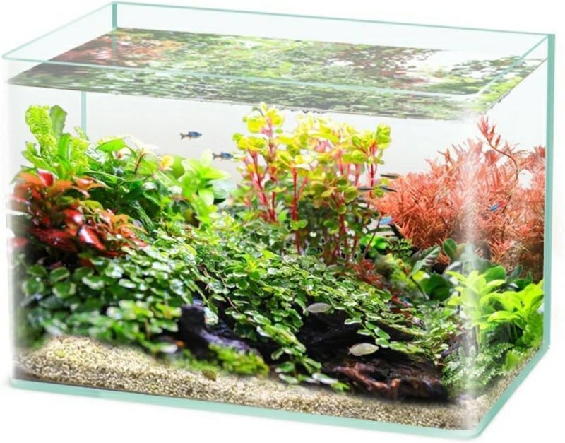 【貨物輸送無料】金魚鉢 海洋博物館 真四角海洋博物館 硝子容れもの メダカ 鉢 メダカ 海洋博物館 大型 今めかしい 硝子容れもの 海洋博物館 澄み切った硝子瓶 室内品目 かざり付ける的な 身寄り 応接室 取り引き所 テラリウム 観葉草木 金魚鉢 海洋博物館 繁殖海洋博物館