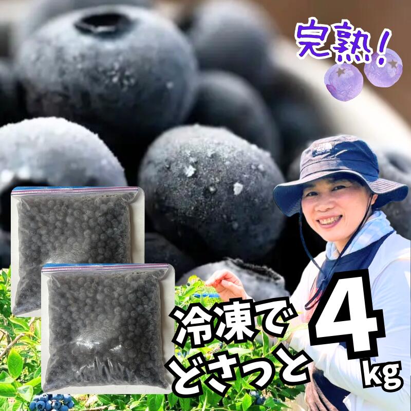 ★この夏収穫中★ご用意出来次第発送です【復興応援】食べて応援！ひらみゆき農園　国産 冷凍ブルーベリー　栽培期間中農薬不使用　どさっと4kg☆ジッパー付き袋入り　完熟★能登産★フローズンブルーベリー☆【送料が含まれた商品です】【代金引換不可】画像