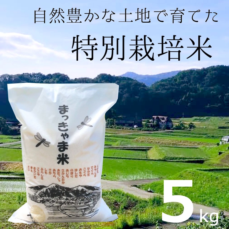 【楽天市場】【新米】特別栽培米 石川県産こしひかり 棚田米”まっきゃま米” 【１０ｋｇ】（５ｋｇ×２）（玄米 or白米）Ｒ６年度産  【復興支援食べて応援！】【集落が被災されましたが米の蔵は無事でした】【