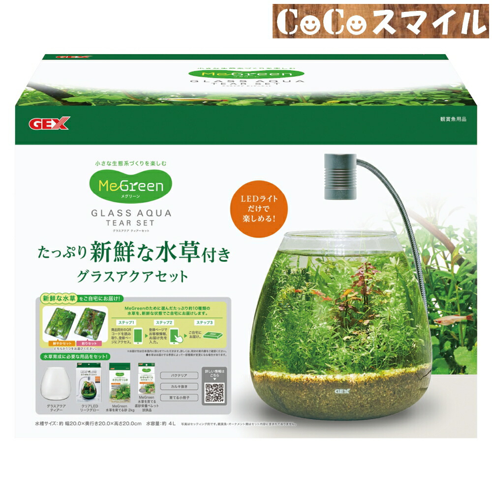 楽天市場】【全国送料無料】GEX MeGreen メグリーン 新鮮な水草