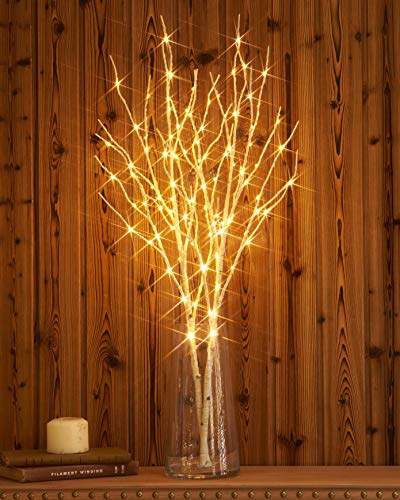 Hairui 白樺 100LED 枝 80cm イルミネーション 電池式 間接照明 ブランチツリー ストリングライト オシャレ 北欧風 タイマー機能 防水 白(花瓶が含まない)