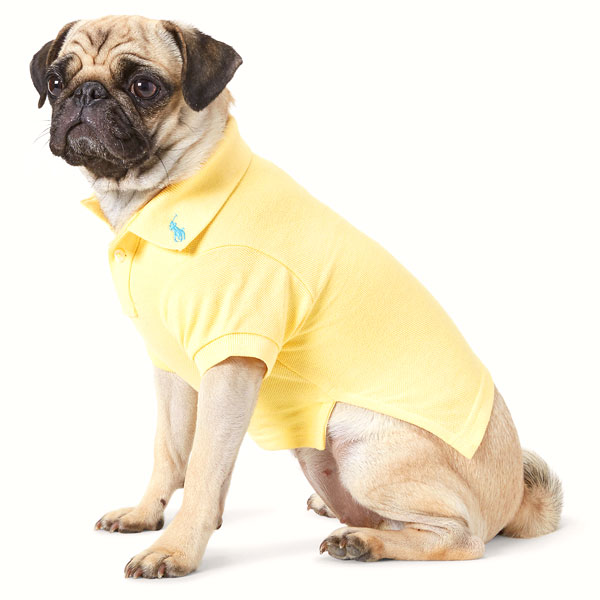 送料無料 ポロ ワンちゃん ドッグ ラルフローレン ラルフ Polo Ralph Lauren ペット服 犬 ドッグウエア ドッグウェア ドッグコート ポロシャツ ビッグポニー 犬用コート 犬服 犬の服 犬 ドッグ ワンちゃん わんちゃん ブランド アメリカ正規店輸入商品 Msra 034