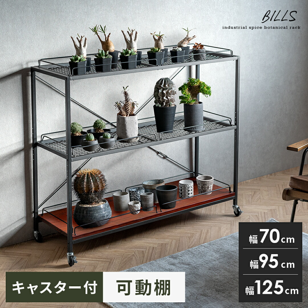 ボタニカルシェルフ 楽天市場】＜ボタニカルラックオプション＞TOP照明キット : SULK