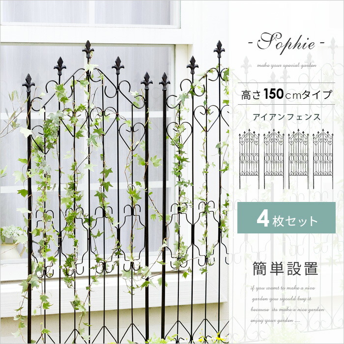 soh-lo4-kago1n.jpg soh-lo4-kago1n.jpg