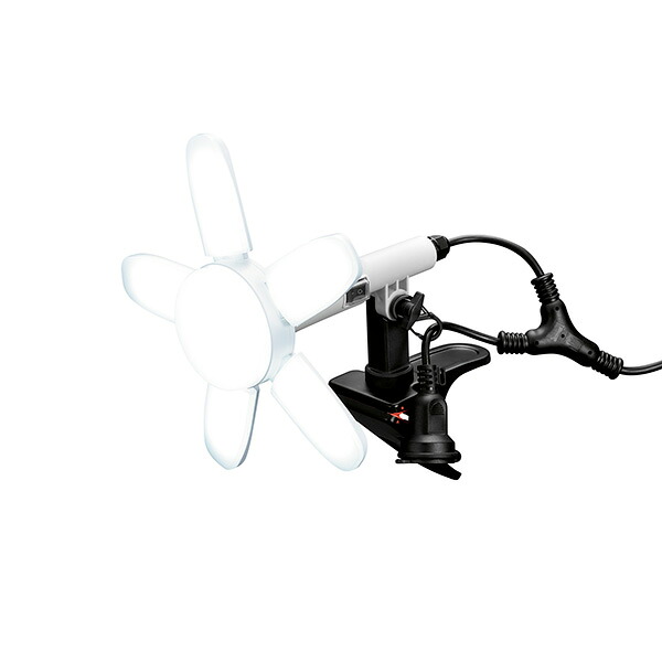 防雨型LEDクリップライトＳＡＫＵＴＯ60W 4907052626836 EARTH MAN 防雨型 ＬＥＤクリップライト ＳＡＫＵＴＯ 60W