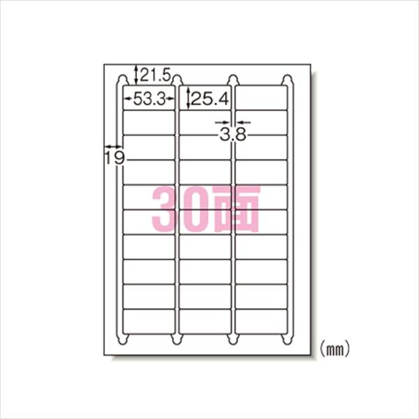 エーワン ラベルシール （インクジェット） マット紙100枚入 A4判30面 29192 事務用品 文房具 筆記具 ファイル 机上整理 オフィス 29192 08943