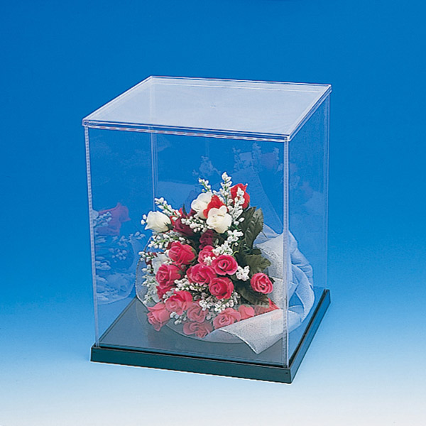 フロンティア喜世 【4個】箱 ウインナーケース角 21×25 007310905 箱 ディスプレイケース クリアBOX ディスプレイBOX
