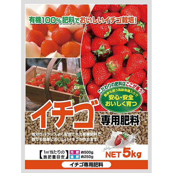 ☆いちご☆ 専用 楽天市場】とちぎの銘菓セット 栃木いちごミルクパイ