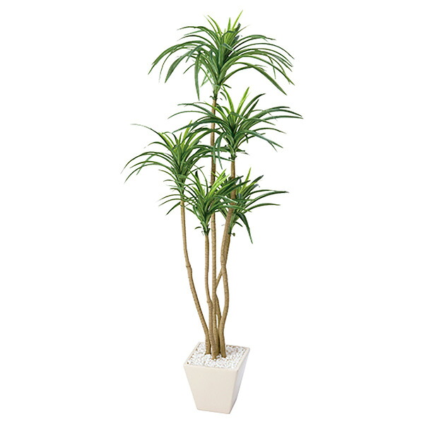ストア・エキスプレス:コンシナ 120cm(人工樹木 フェイクグリーン 人工観葉植物) 61-173-3-2【メーカー直送品】 フェイクグリーン 観葉植物 フェイク リアル 人口観葉植物|イチネンネット
