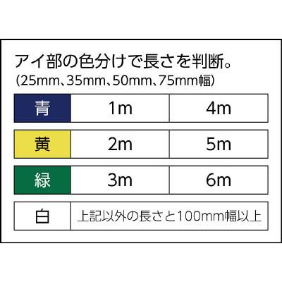 100×3.0 ( ZE1000300 ) ZE1000300 田村 Zタイプ 4E ベルトスリング