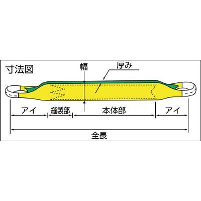 ZE1000300